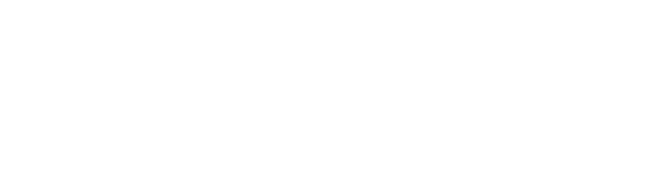 Logo Shopify